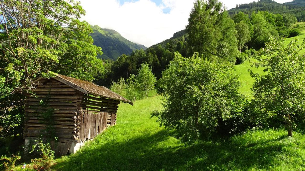 Alpinresort Derbacherhof Niedernsill Exterior photo